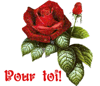 je vous souhaites une tres bonne journée